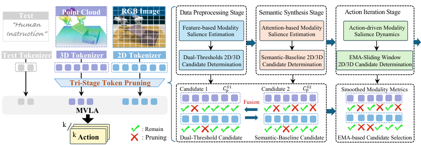 Overview of the tri-stage token pruning framework
