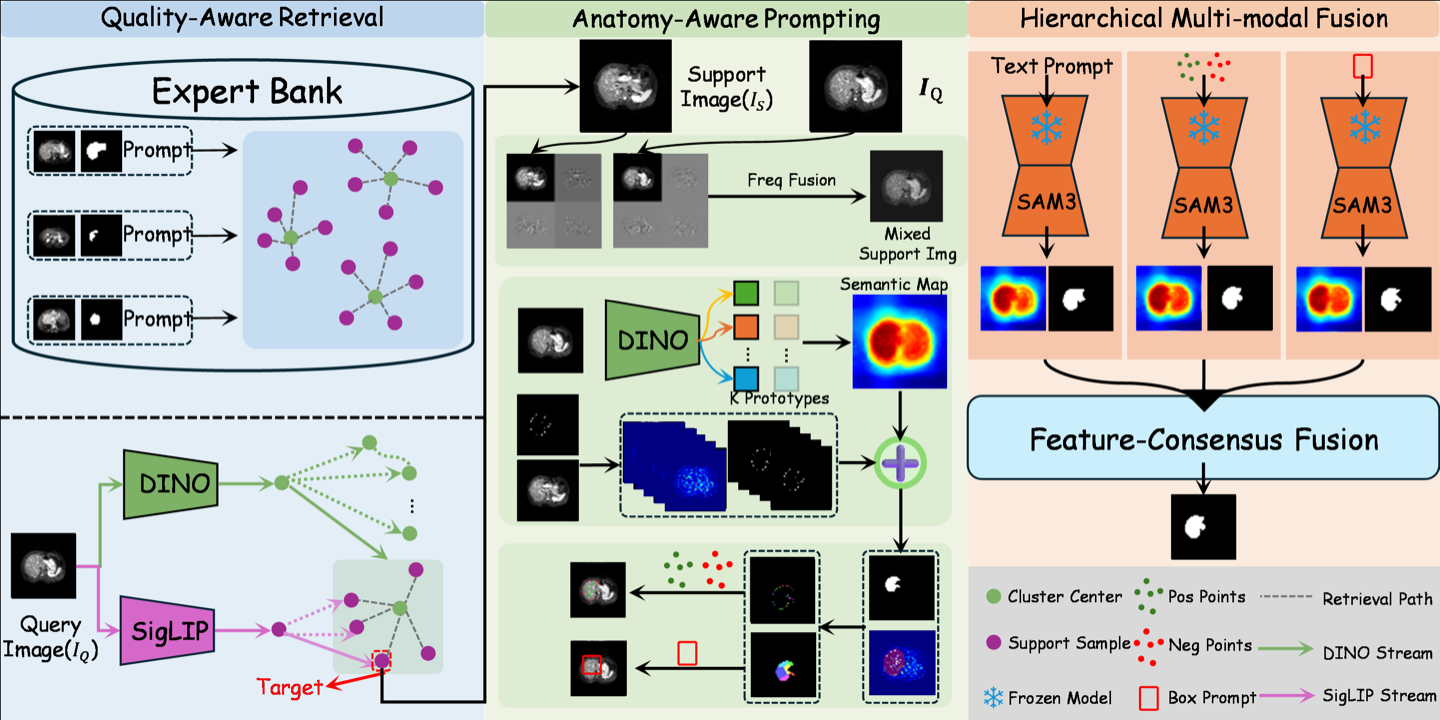 Overview of the APEX-SAM medical image segmentation framework